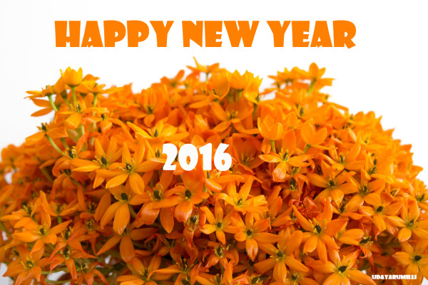 happy_new_year_2016_10