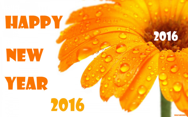 happy_new_year_2016_13