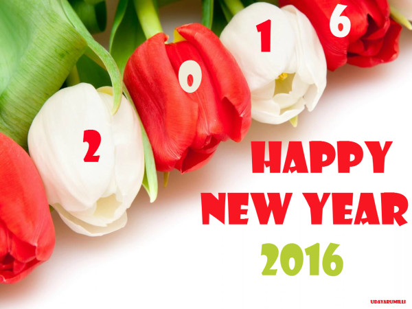 happy_new_year_2016_18