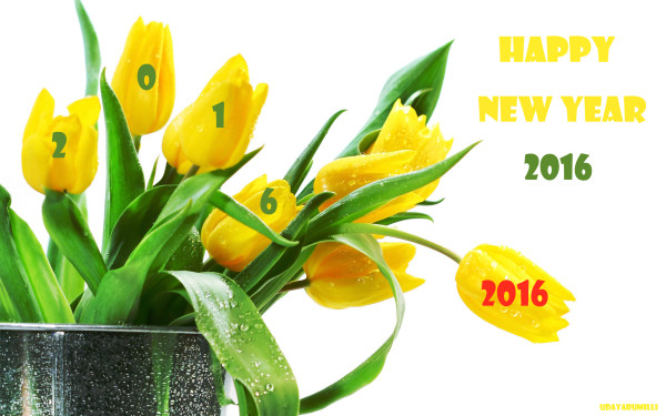 happy_new_year_2016_19