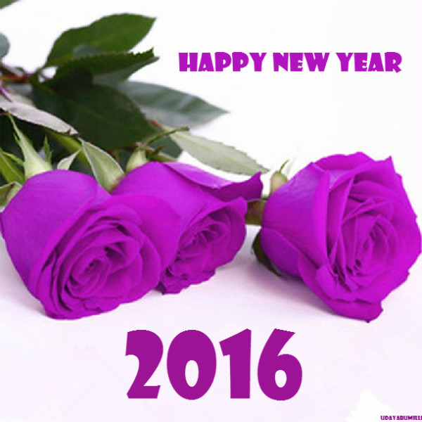 happy_new_year_2016_2