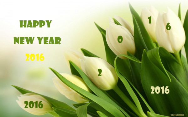 happy_new_year_2016_20