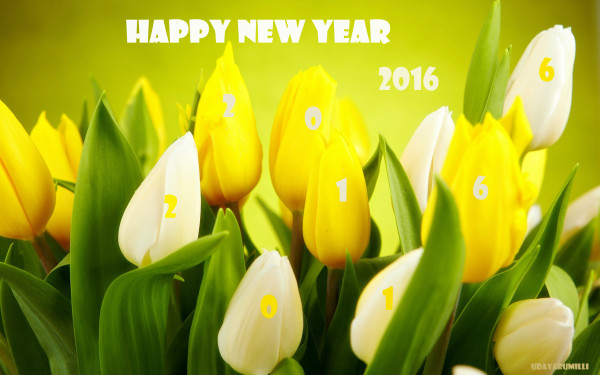 happy_new_year_2016_22