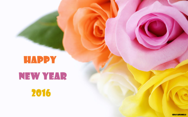happy_new_year_2016_23