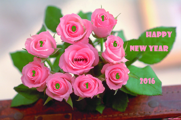 happy_new_year_2016_25