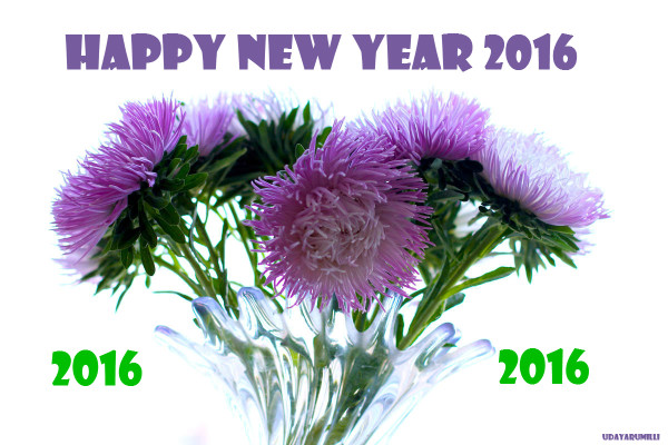 happy_new_year_2016_27