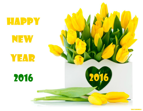 happy_new_year_2016_28