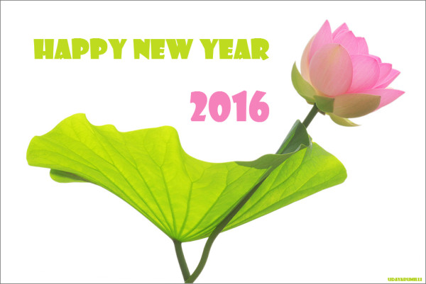 happy_new_year_2016_4
