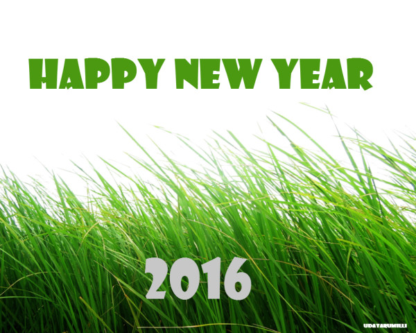 happy_new_year_2016_8