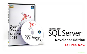 Download Microsoft SQL Server Developer