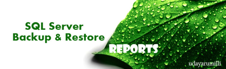 SQL Server Backup and Restore Reports