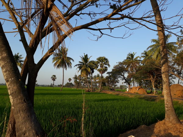 Beautiful village images hd India
